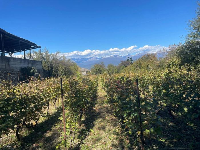 Land For Sale. Kisiskhevi