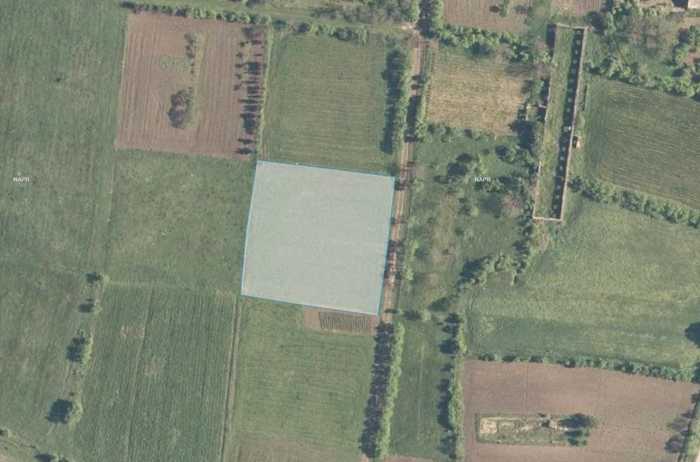 Land For Sale. Mchadijvari