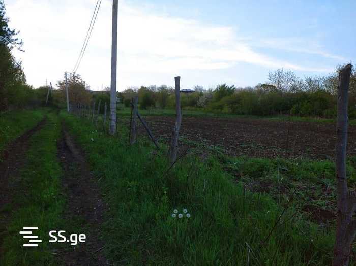 Land For Sale. Jorjiashvili