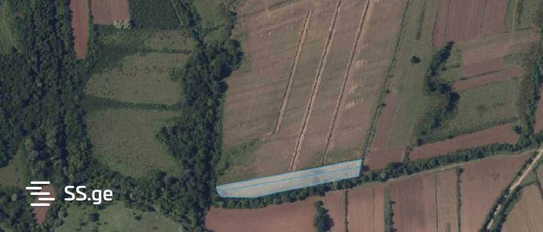 Land For Sale. Tskaltubo view 1