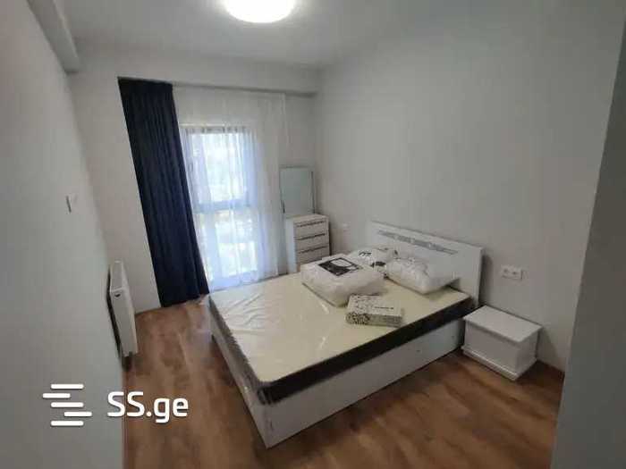https://static.ss.ge/20260202/16_8b352a4e-07fb-45cf-b607-4faea08692cf_Thumb.jpg