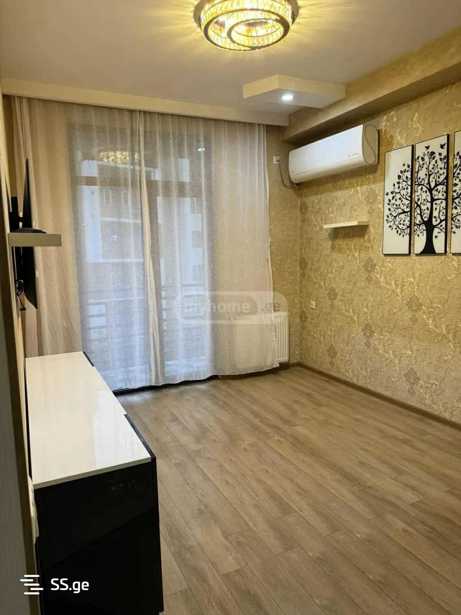 https://static.ss.ge/20260202/16_a31aeeb4-2538-43ea-b94a-66792f580d24_Thumb.jpg
