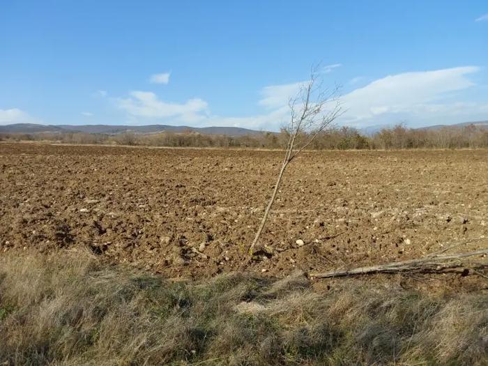 Land For Sale. Kvemo Shuakhevi
