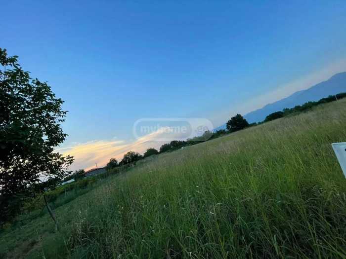 Land For Sale. Tsinandali