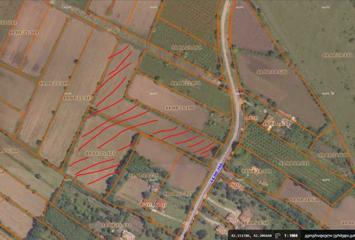 Land For Sale. Dzveli Senaki