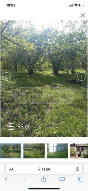 https://static.ss.ge/20260202/5_4078ec23-fafa-403c-92d6-7693a9e8a739_Thumb.jpg