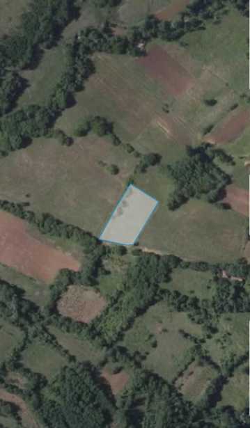 Land For Sale. Terjola
