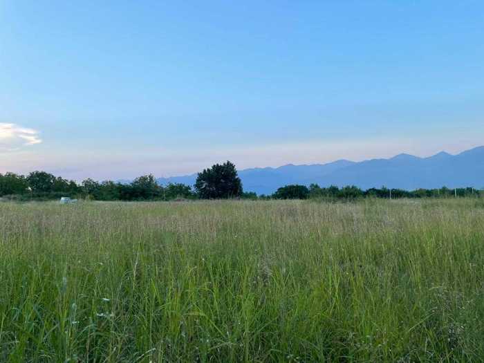 Land For Sale. Tsinandali