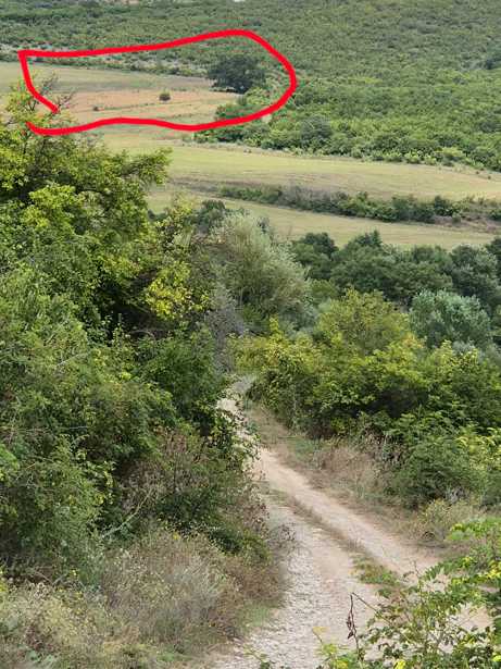 Land For Sale. Mchadijvari