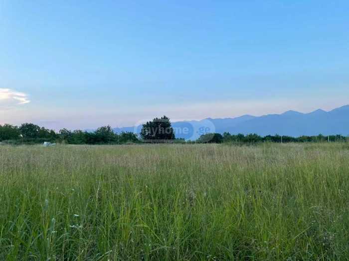 Land For Sale. Tsinandali