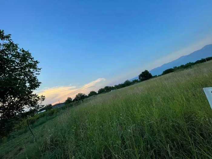 Land For Sale. Tsinandali