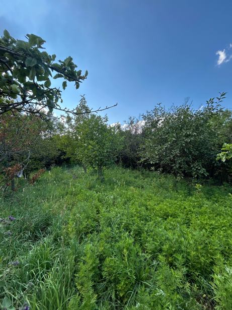 Land For Sale. Ksovrisi