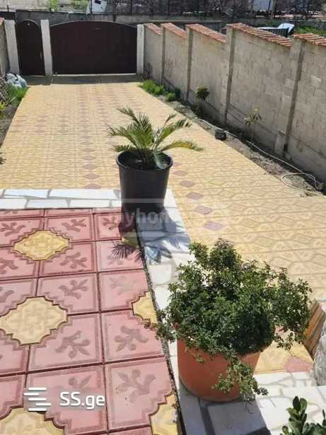 https://static.ss.ge/20260203/0_ae9705ec-d376-46f7-8513-0c8ddf57ba1f_Thumb.jpg