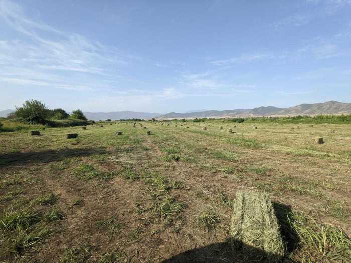 Land For Sale. Shulaveri
