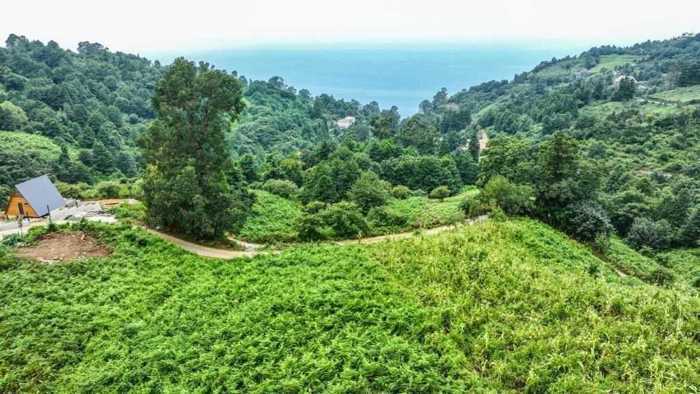 Land For Sale. Sarpi