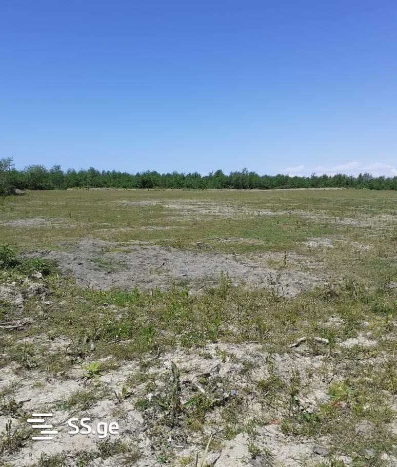 Land For Sale. Zugdidi view 1