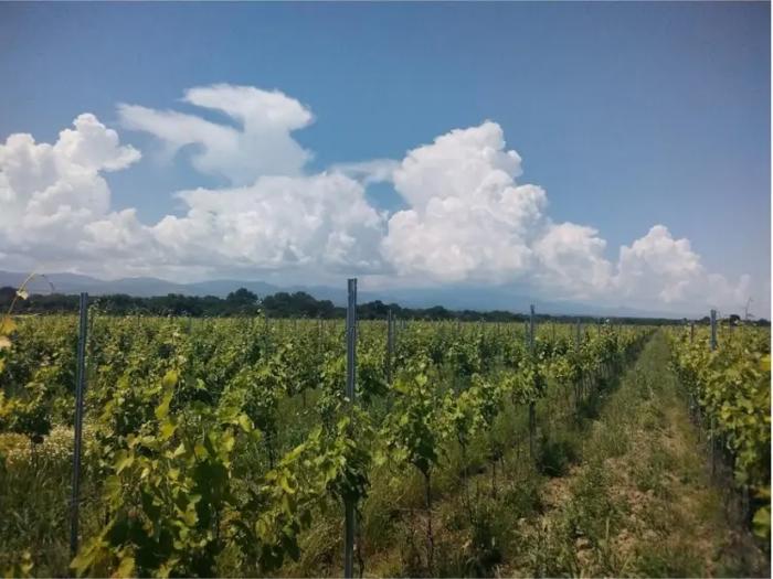 Land For Sale. Shilda