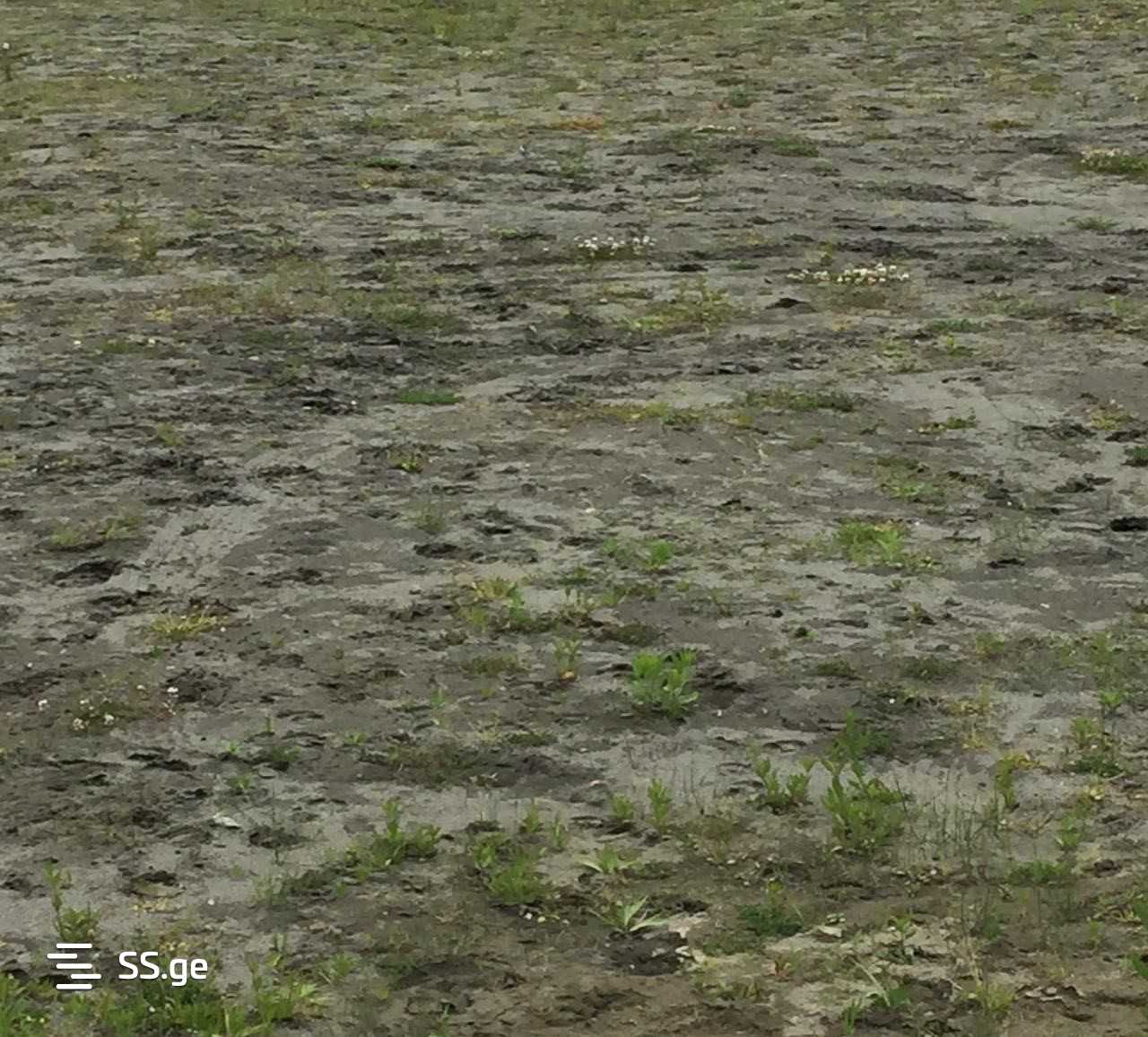 Land For Sale. Zugdidi view 4