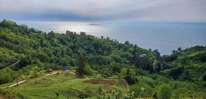 Land For Sale. Sarpi