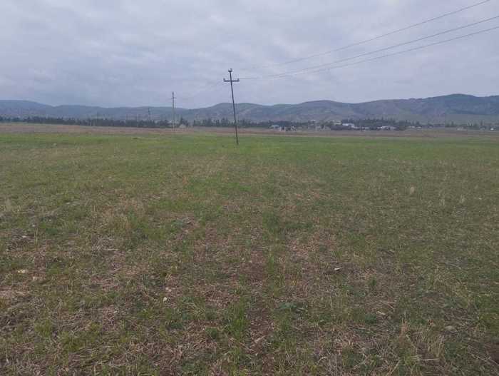 Land For Sale. Tsalaskuri
