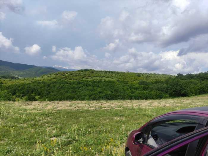 Land For Sale. Patardzeuli