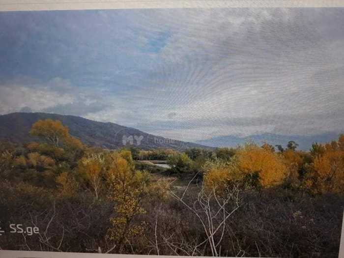 Land For Sale. Misaktsieli