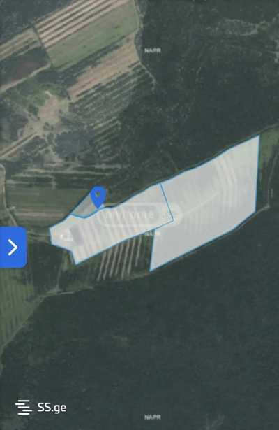 Land For Sale. Anaklia