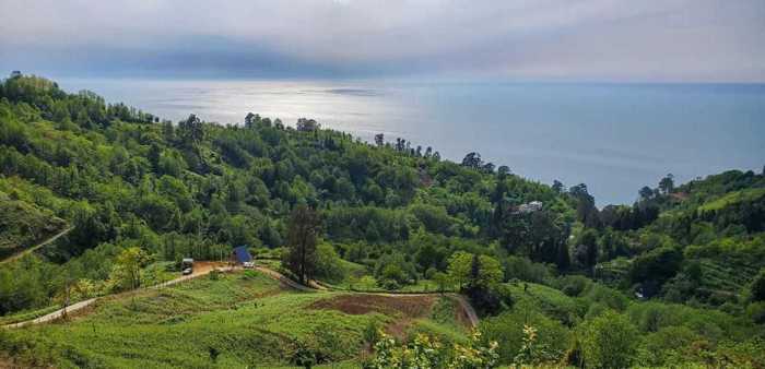 Land For Sale. Sarpi