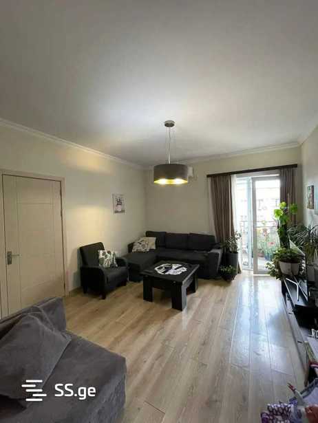 https://static.ss.ge/20260203/4_b4b6f870-a76d-4e69-9203-245127b3814d_Thumb.jpg