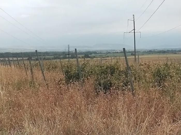 Land For Sale. Manavi