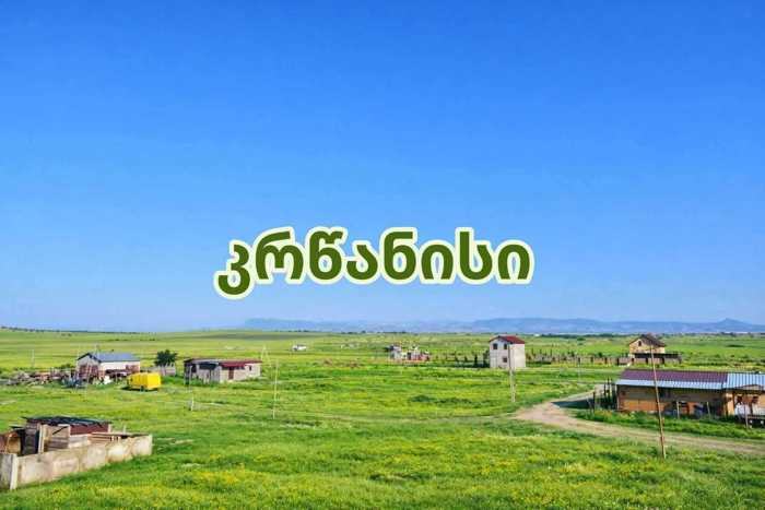 Land For Sale. Krtsanisi
