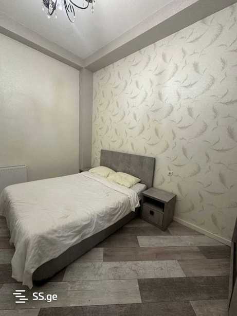 https://static.ss.ge/20260203/8_76d2bf60-29f7-44c1-8406-0e281624dba3_Thumb.jpg