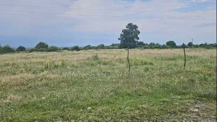 Land For Sale. Gurjaani