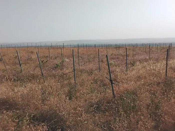 Land For Sale. Manavi