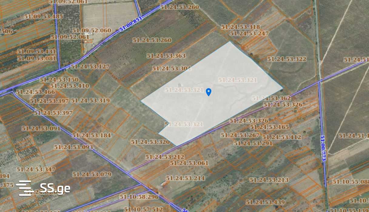 For Sale Sasoplo-Sameurneo Land Plot Gurjaanshi view 11