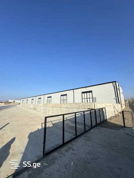 https://static.ss.ge/20260204/11_ff62ccc0-b05b-42ef-a646-c07e578e5e73_Thumb.jpg