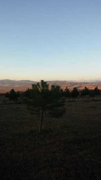 Land For Sale. Magraneti