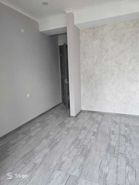 https://static.ss.ge/20260204/18_53ed1fdf-01ed-4292-b1db-bbd224460640_Thumb.jpg