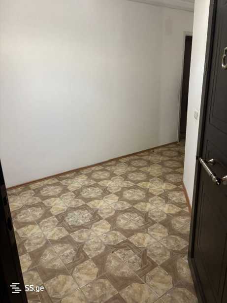 https://static.ss.ge/20260204/18_90f17c96-22e5-46b9-8c71-501ef87777d9_Thumb.jpg