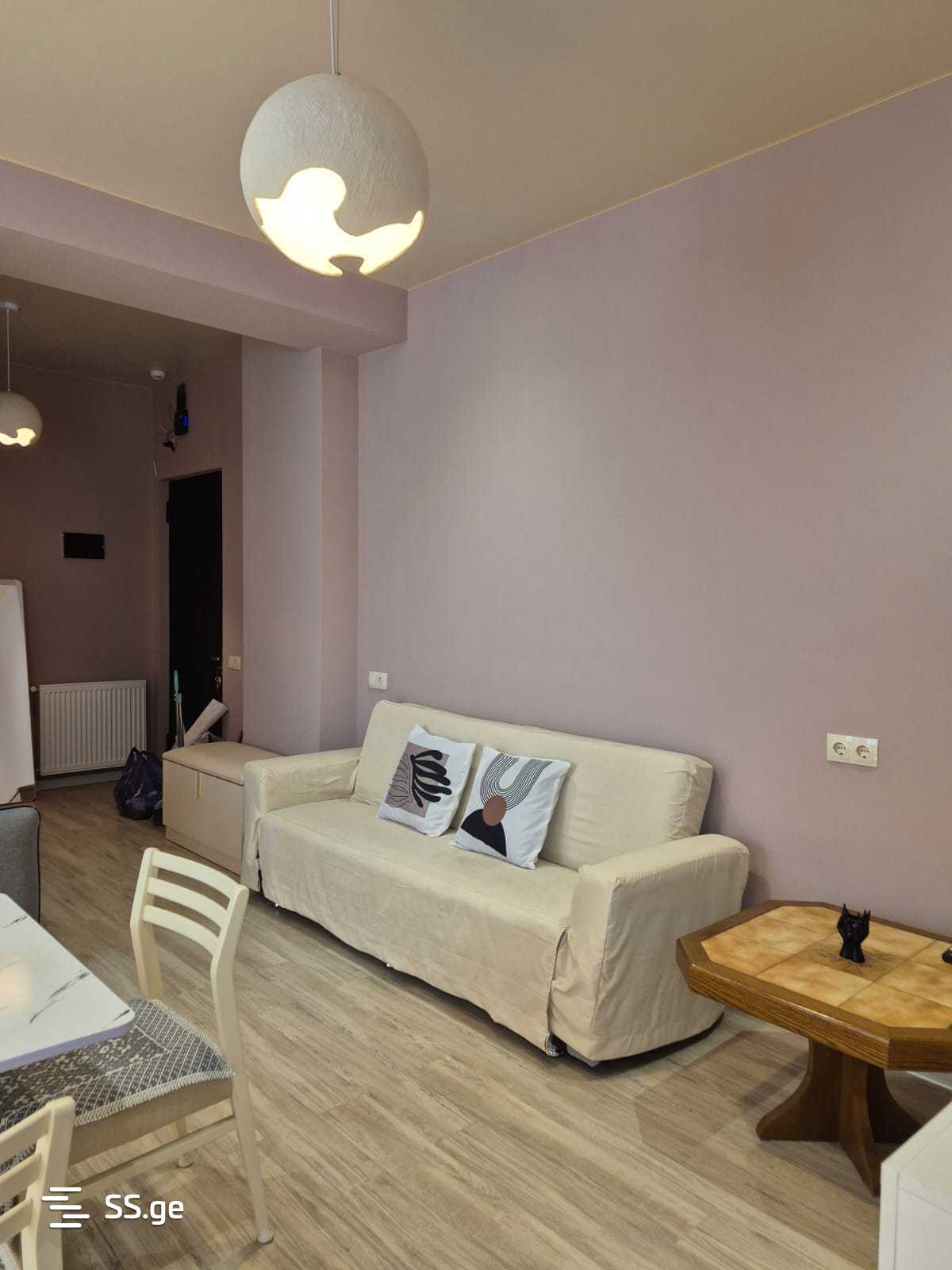 2 Room Flat For Rent. Rustavi view 5