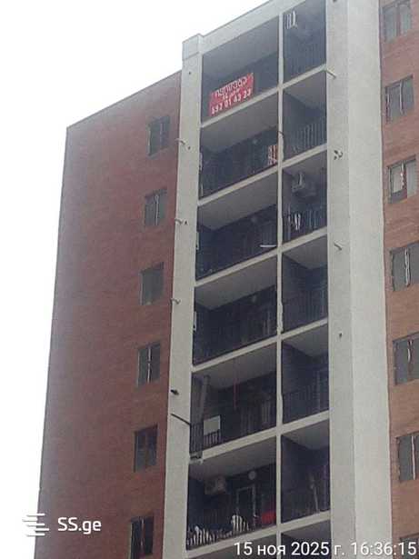 https://static.ss.ge/20260204/19_4184d96d-eac1-411c-81f6-cbd099862d56_Thumb.jpg