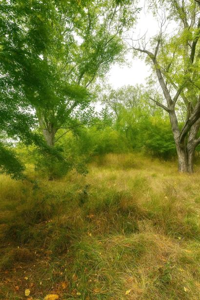 Land For Sale. Buriani