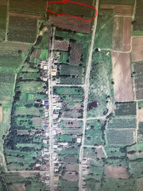 Land For Sale. Telavi