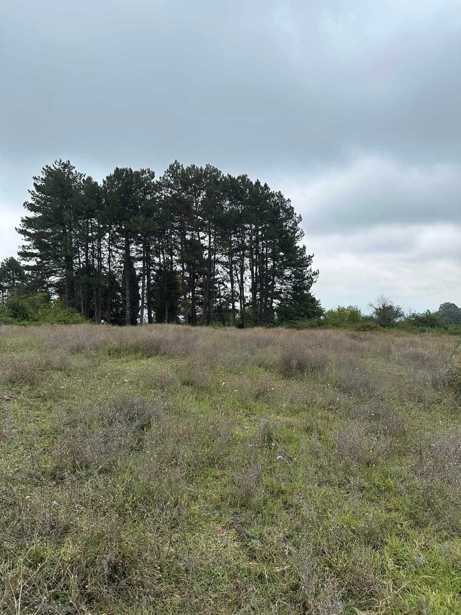 Land For Sale. Kvemo Khodasheni