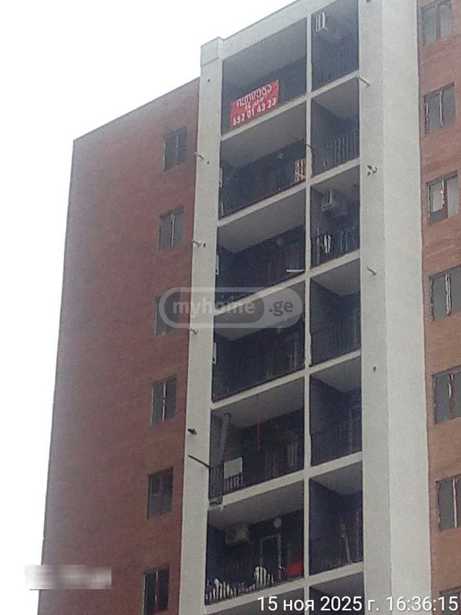 https://static.ss.ge/20260205/10_f9887a0f-bba3-449e-b52b-984879c2d410_Thumb.jpg