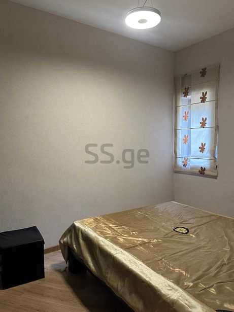 https://static.ss.ge/20260205/12_35842a99-44f2-4ab3-8ef4-7caf3f5e1b01_Thumb.jpg