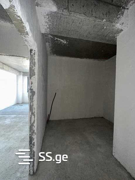 https://static.ss.ge/20260205/12_69805da2-e934-4455-a99d-8f60c56dd817_Thumb.jpg