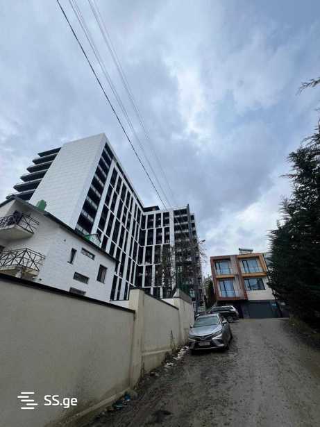 https://static.ss.ge/20260205/12_8c768e3a-071b-4400-8761-f5c7eba9fd24_Thumb.jpg