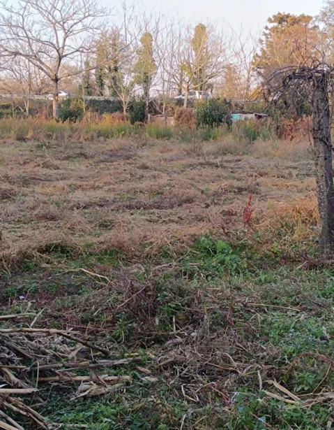 Land For Sale. Grigoleti