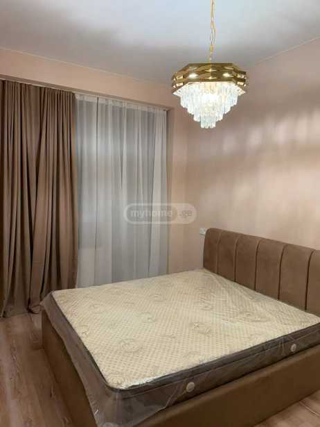 https://static.ss.ge/20260205/2_0cf16ecd-ad24-4b1e-afbc-58dbbae0d849_Thumb.jpg